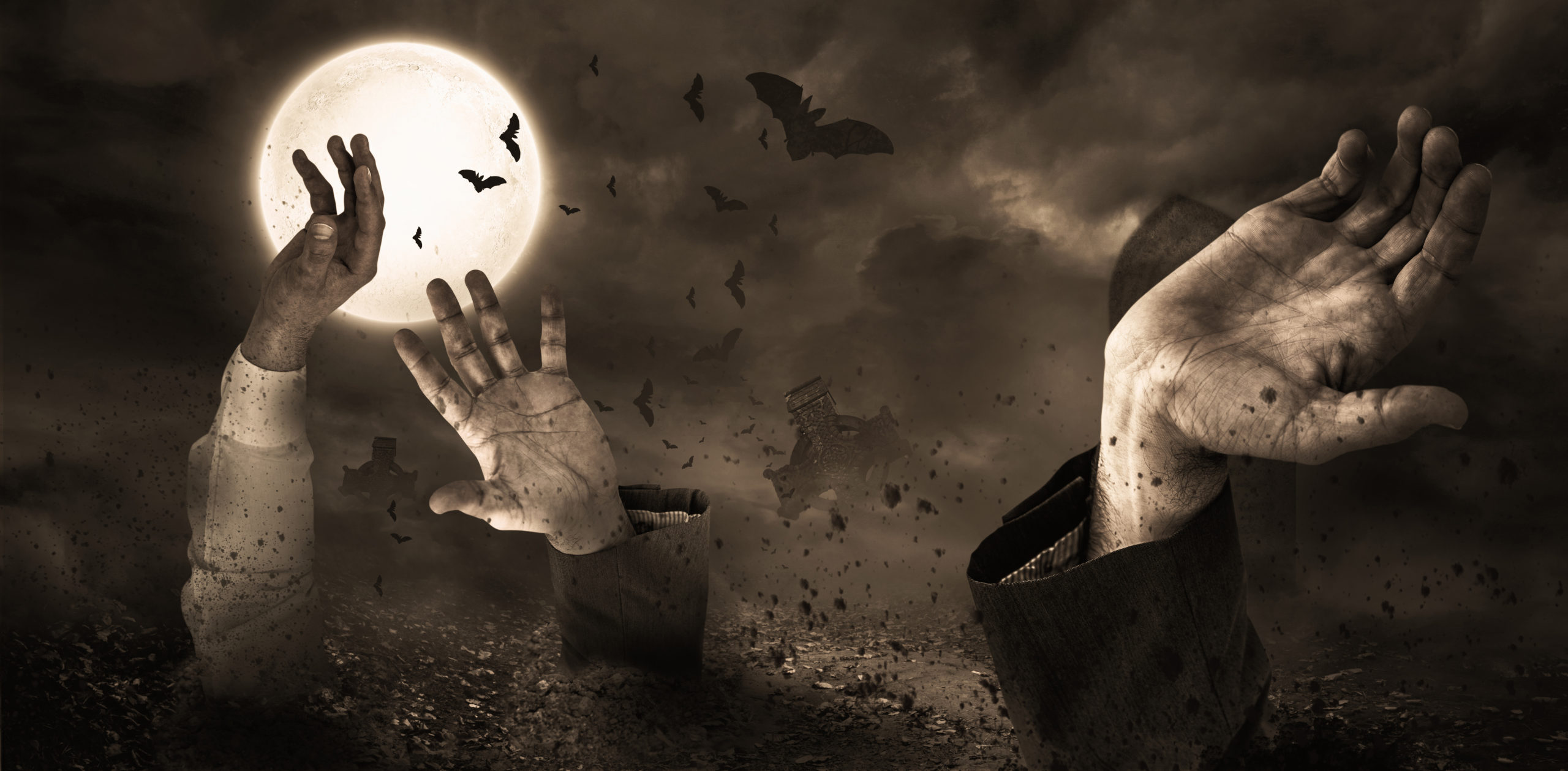 29144496 zombies rising from the grave scaled